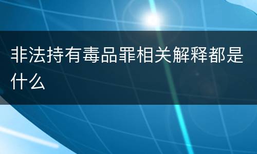 非法持有毒品罪相关解释都是什么