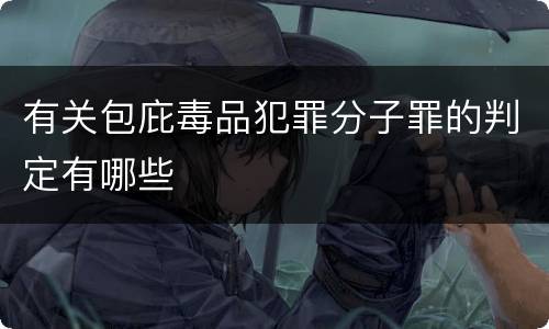 有关包庇毒品犯罪分子罪的判定有哪些