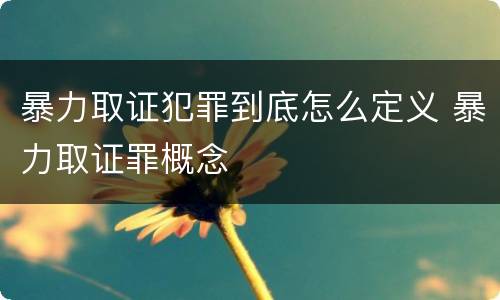暴力取证犯罪到底怎么定义 暴力取证罪概念
