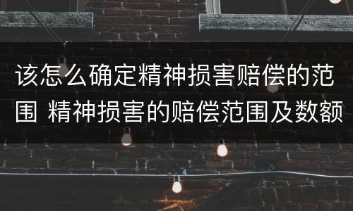 该怎么确定精神损害赔偿的范围 精神损害的赔偿范围及数额确定
