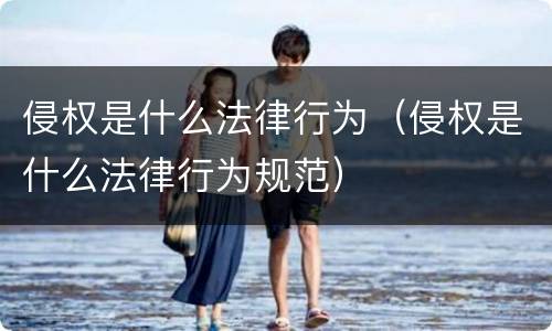 侵权是什么法律行为（侵权是什么法律行为规范）