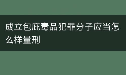 成立包庇毒品犯罪分子应当怎么样量刑