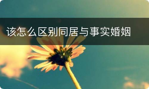 该怎么区别同居与事实婚姻