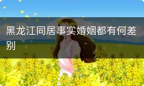 黑龙江同居事实婚姻都有何差别