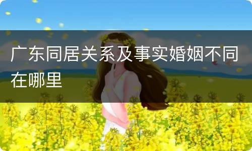 广东同居关系及事实婚姻不同在哪里