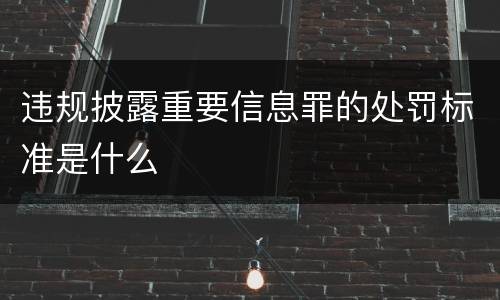 违规披露重要信息罪的处罚标准是什么