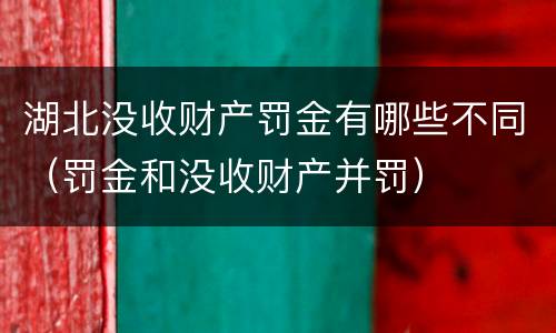 湖北没收财产罚金有哪些不同（罚金和没收财产并罚）