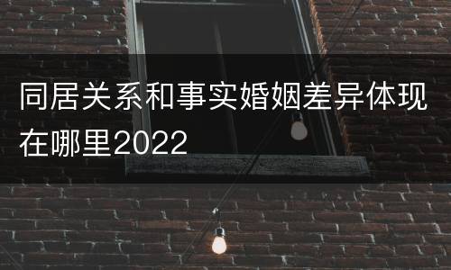 同居关系和事实婚姻差异体现在哪里2022
