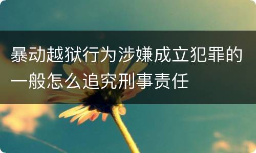 暴动越狱行为涉嫌成立犯罪的一般怎么追究刑事责任