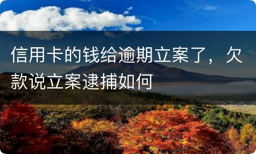 信用卡的钱给逾期立案了，欠款说立案逮捕如何