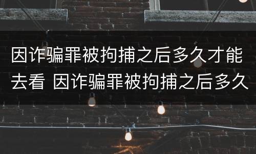 因诈骗罪被拘捕之后多久才能去看 因诈骗罪被拘捕之后多久才能去看守所