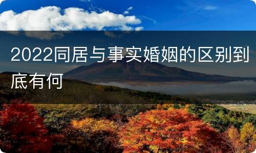 2022同居与事实婚姻的区别到底有何