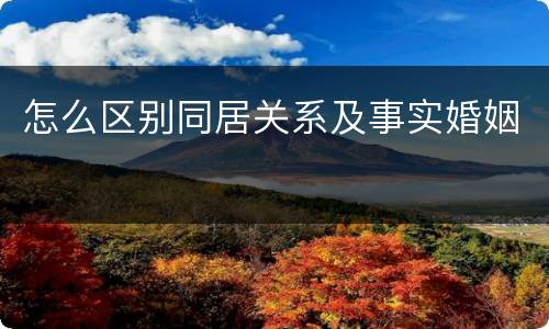 怎么区别同居关系及事实婚姻