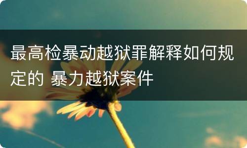 最高检暴动越狱罪解释如何规定的 暴力越狱案件