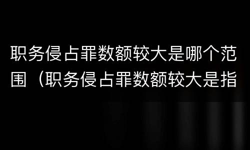职务侵占罪数额较大是哪个范围（职务侵占罪数额较大是指多少）