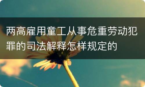 两高雇用童工从事危重劳动犯罪的司法解释怎样规定的