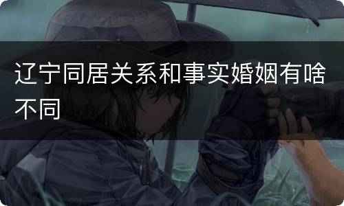 辽宁同居关系和事实婚姻有啥不同