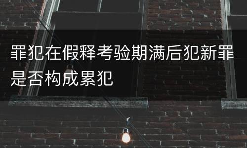 罪犯在假释考验期满后犯新罪是否构成累犯