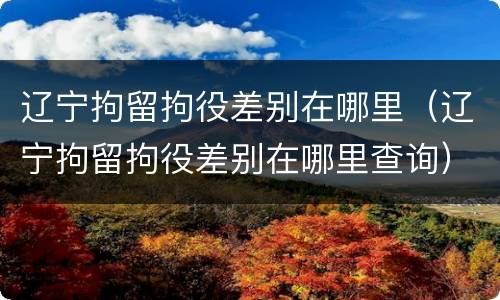 辽宁拘留拘役差别在哪里（辽宁拘留拘役差别在哪里查询）