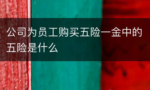 公司为员工购买五险一金中的五险是什么