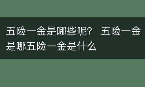 五险一金是哪些呢？ 五险一金是哪五险一金是什么