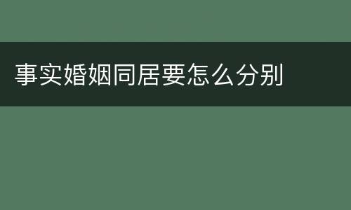 事实婚姻同居要怎么分别