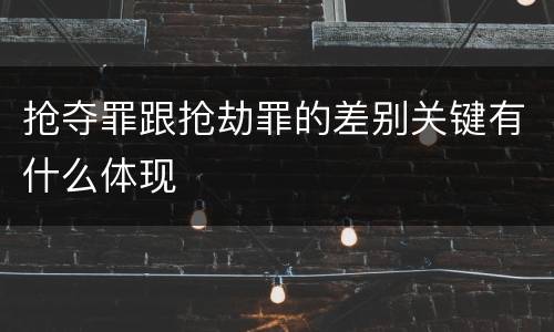 抢夺罪跟抢劫罪的差别关键有什么体现
