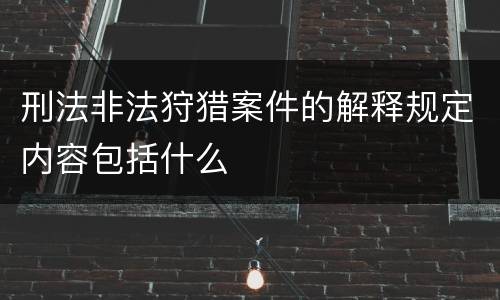 刑法非法狩猎案件的解释规定内容包括什么