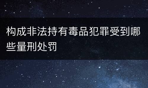 构成非法持有毒品犯罪受到哪些量刑处罚