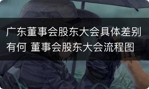 广东董事会股东大会具体差别有何 董事会股东大会流程图