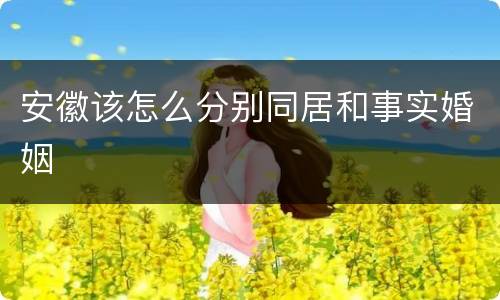 安徽该怎么分别同居和事实婚姻