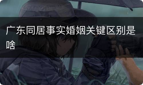 广东同居事实婚姻关键区别是啥