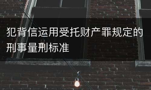 犯背信运用受托财产罪规定的刑事量刑标准
