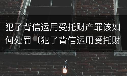 犯了背信运用受托财产罪该如何处罚（犯了背信运用受托财产罪该如何处罚他）