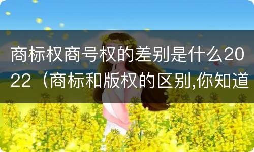 商标权商号权的差别是什么2022（商标和版权的区别,你知道多少?）