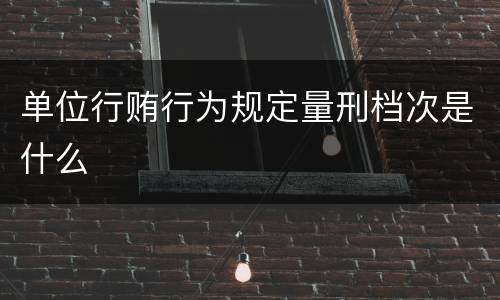单位行贿行为规定量刑档次是什么