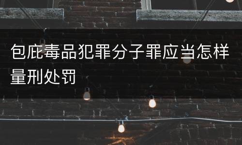 包庇毒品犯罪分子罪应当怎样量刑处罚