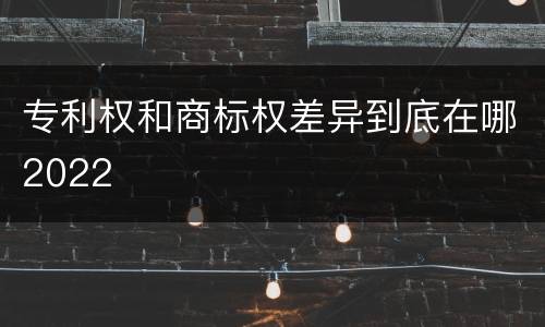 专利权和商标权差异到底在哪2022