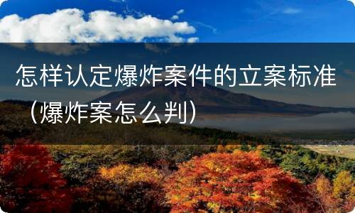怎样认定爆炸案件的立案标准（爆炸案怎么判）