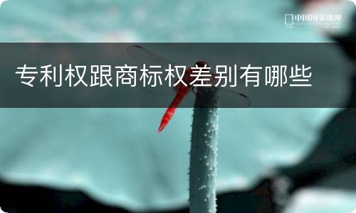 专利权跟商标权差别有哪些