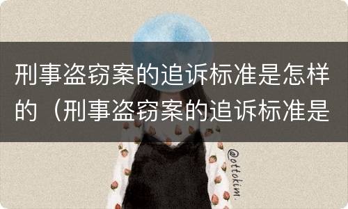 刑事盗窃案的追诉标准是怎样的（刑事盗窃案的追诉标准是怎样的呢）
