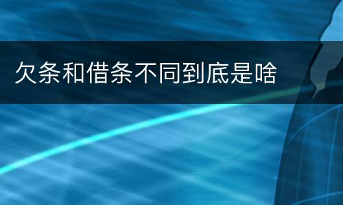 欠条和借条不同到底是啥