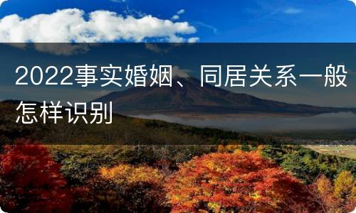2022事实婚姻、同居关系一般怎样识别