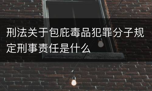 刑法关于包庇毒品犯罪分子规定刑事责任是什么