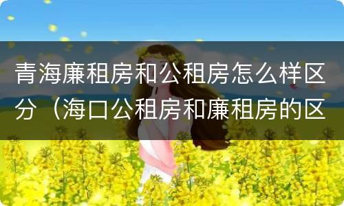 青海廉租房和公租房怎么样区分（海口公租房和廉租房的区别）