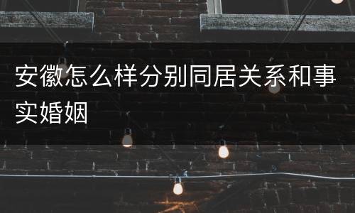 安徽怎么样分别同居关系和事实婚姻