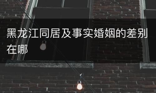黑龙江同居及事实婚姻的差别在哪