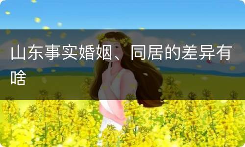 山东事实婚姻、同居的差异有啥