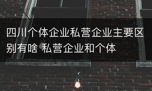 四川个体企业私营企业主要区别有啥 私营企业和个体