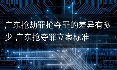 广东抢劫罪抢夺罪的差异有多少 广东抢夺罪立案标准
